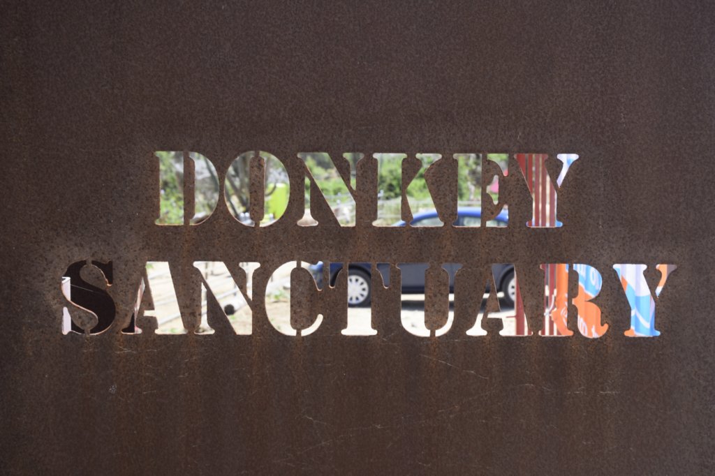 donkeysanctuary.jpg