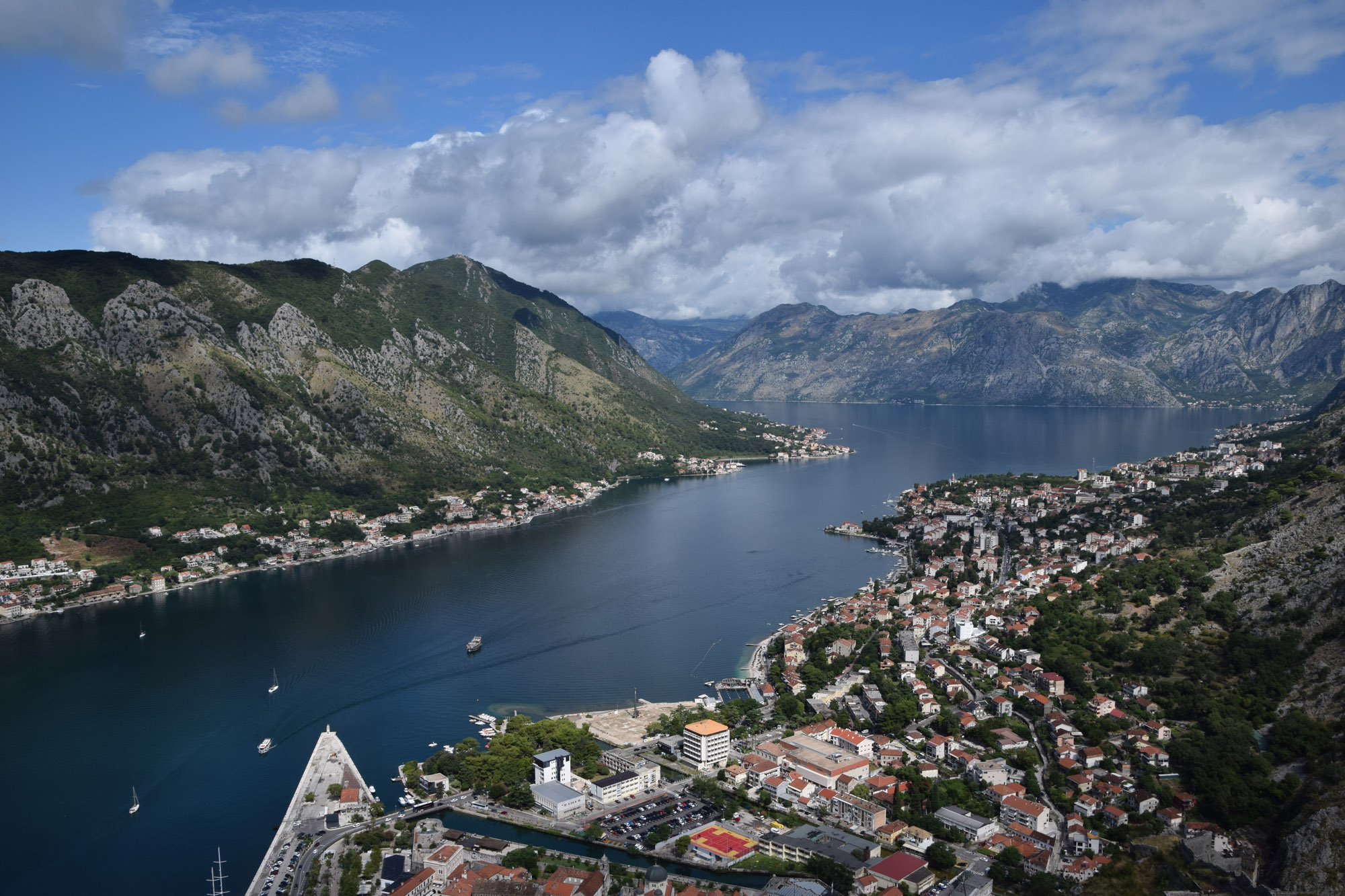 View from Kotor (hike)